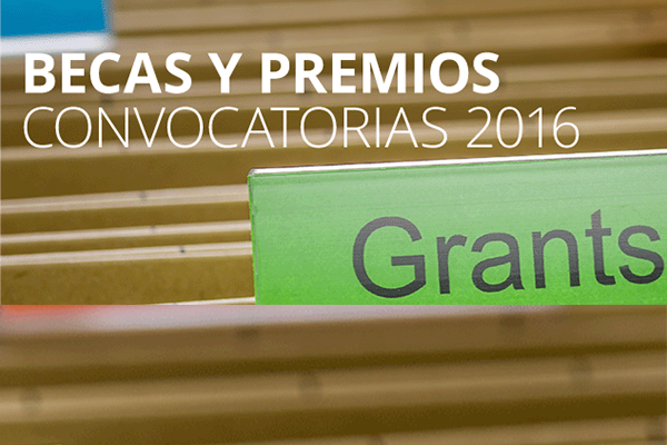 módulo becas
