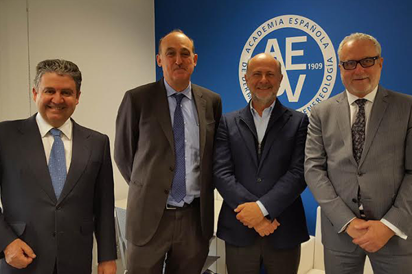 Formación Magistral
