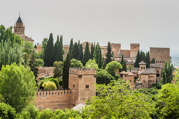 fundación piel sana en granada