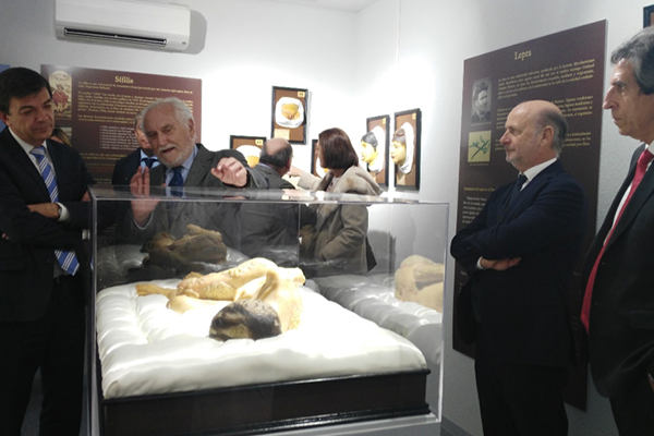 Museo Olavide