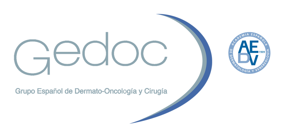 Elecciones Coordinador del GEDOC