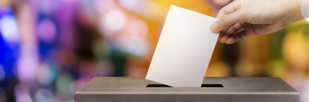 Sección ACCL | Elecciones 2019