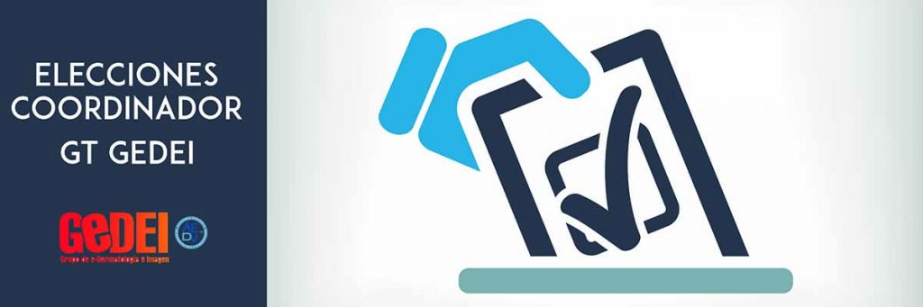 GT GEDEI | Convocatoria de Elecciones 2020