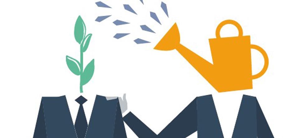 MENTORAZGO-WEB