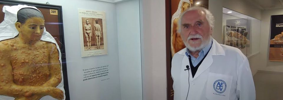 la-teresa-museo-olavide