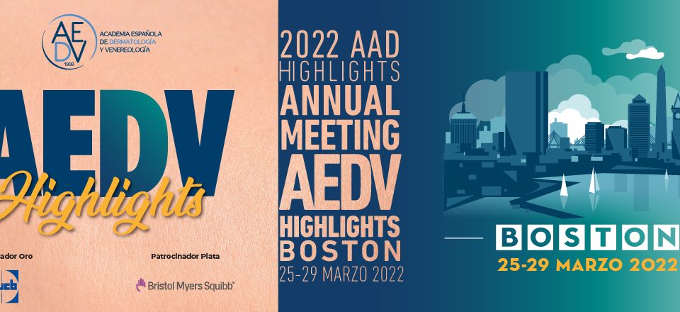 highlights-aad-aedv-2022